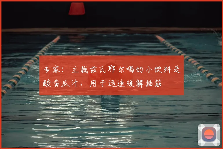 专家：主裁兹瓦耶尔喝的小饮料是酸黄瓜汁，用于迅速缓解抽筋
