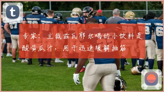 专家:主裁兹瓦耶尔喝的小饮料是酸黄瓜汁,用于迅速缓解抽筋